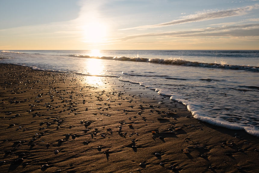 Best Things to Do in Amsterdam Beach