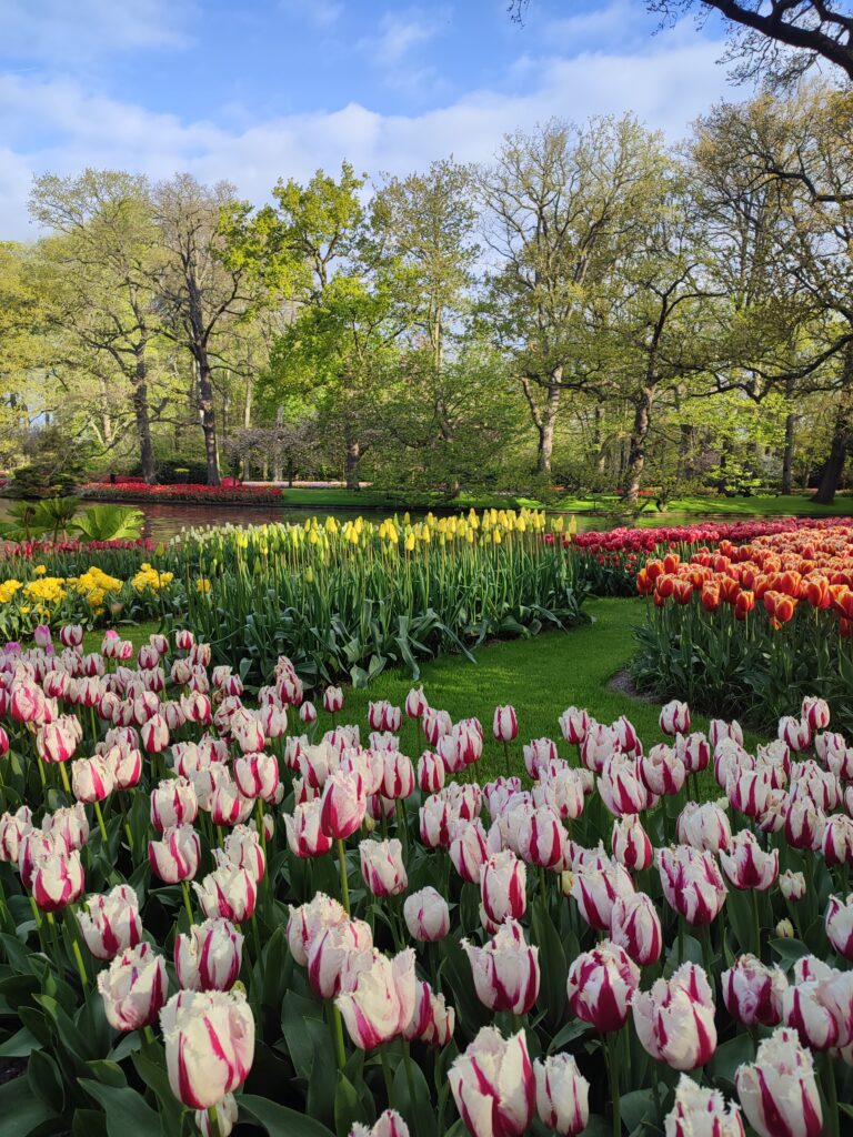 Keukenhof Gardens
