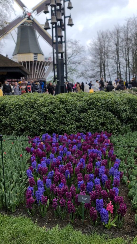 Keukenhof Gardens