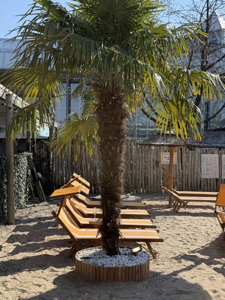 Strandzuid