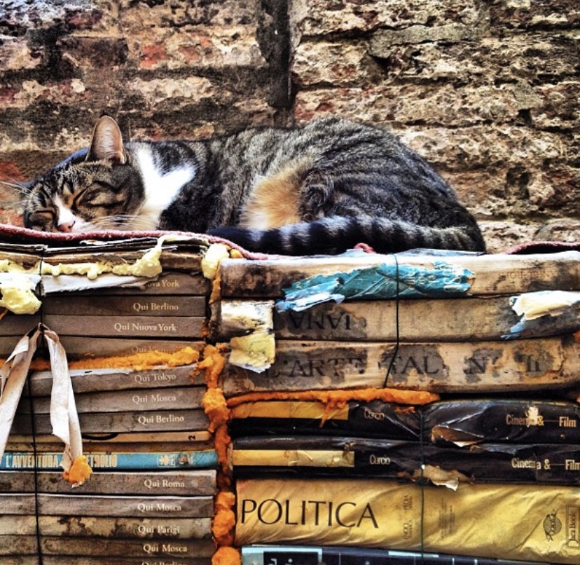 Libreria Acqua Alta