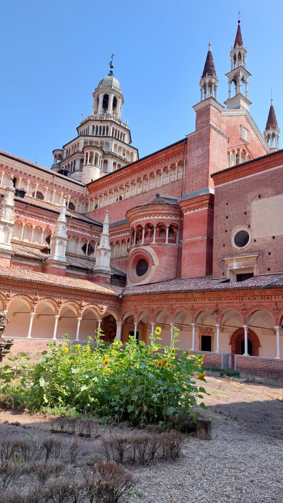 Pavia